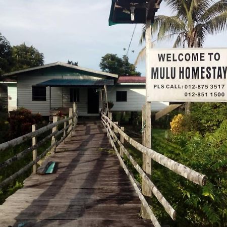 Mulu Homestay Ngoại thất bức ảnh