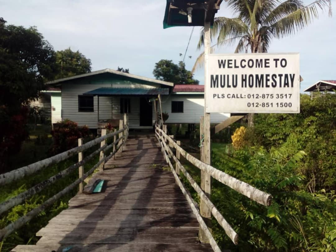 Mulu Homestay Ngoại thất bức ảnh