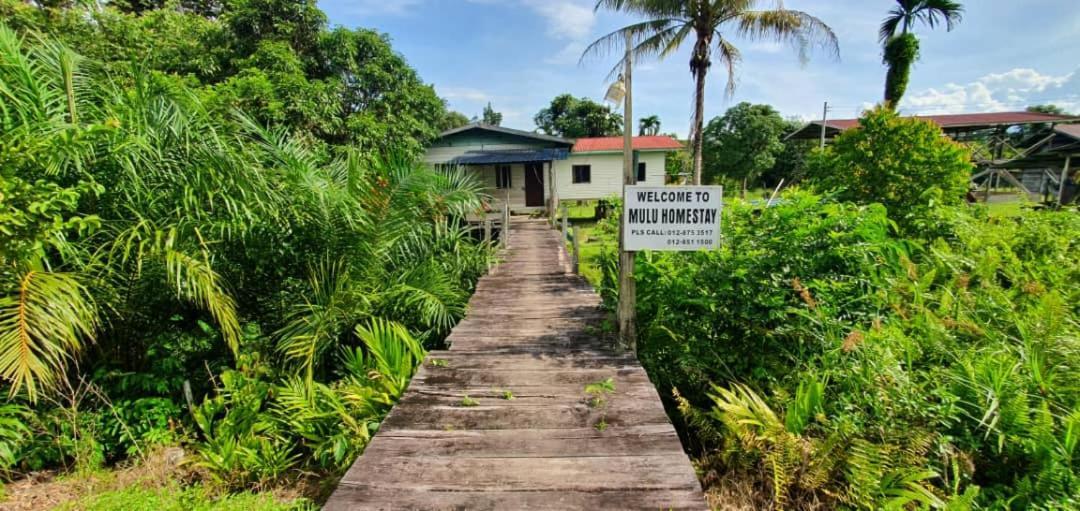 Mulu Homestay Ngoại thất bức ảnh
