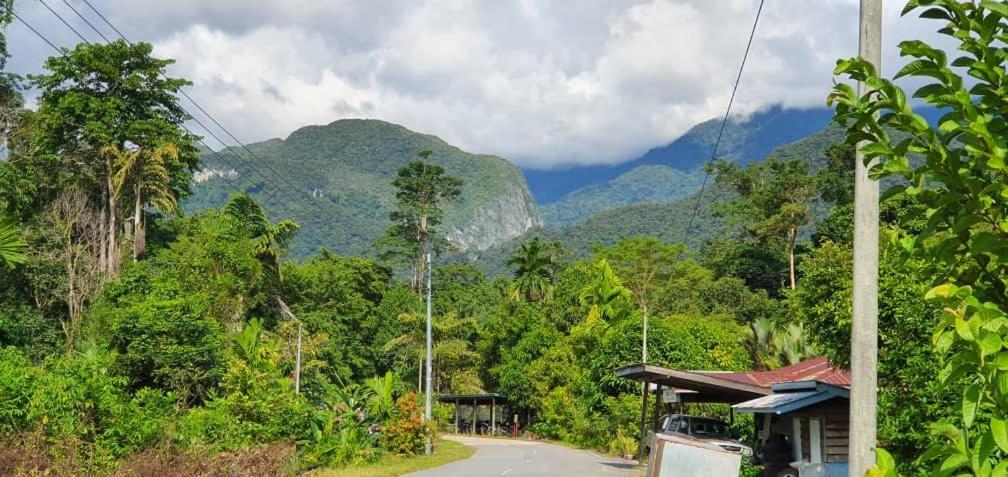 Mulu Homestay Ngoại thất bức ảnh