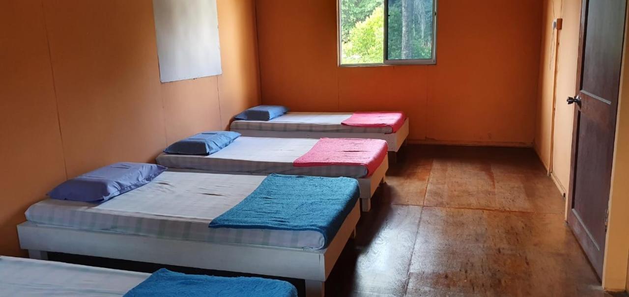 Mulu Homestay Ngoại thất bức ảnh