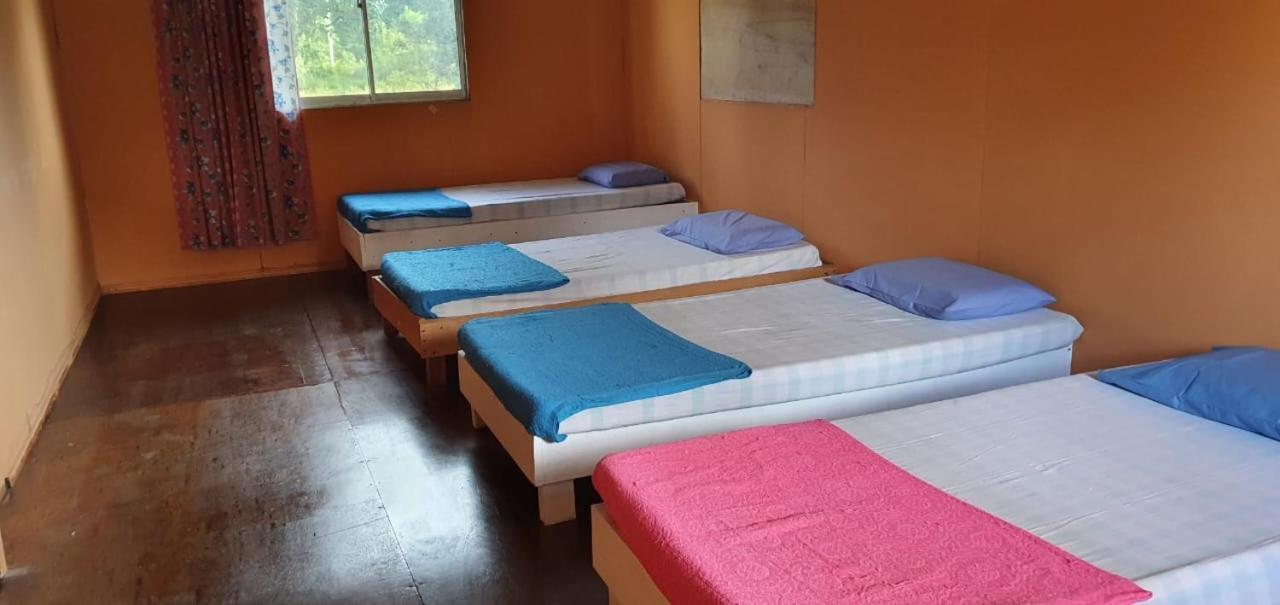 Mulu Homestay Ngoại thất bức ảnh