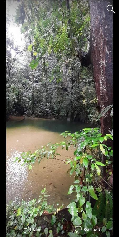 Mulu Homestay Ngoại thất bức ảnh