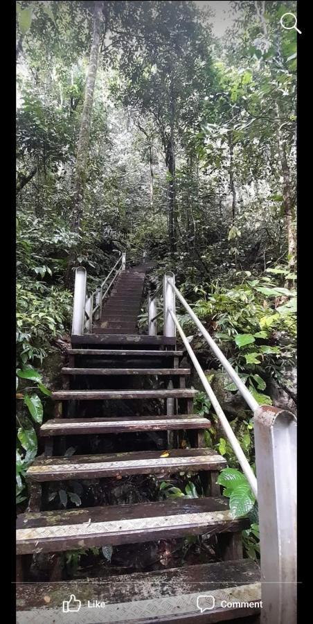Mulu Homestay Ngoại thất bức ảnh