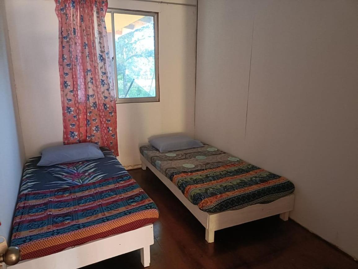 Mulu Homestay Ngoại thất bức ảnh